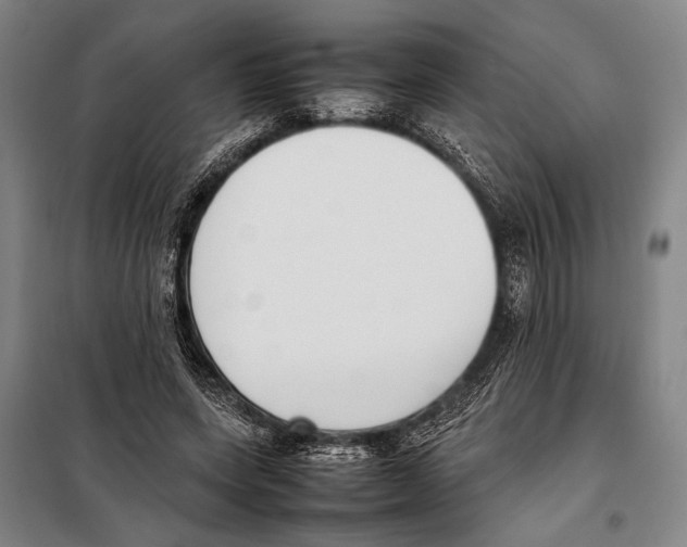 X0000097980543200804211040