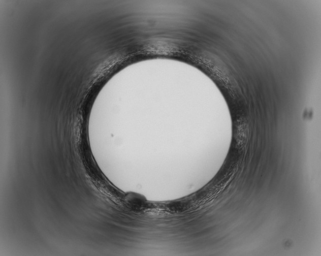 X0000097980544200804211040