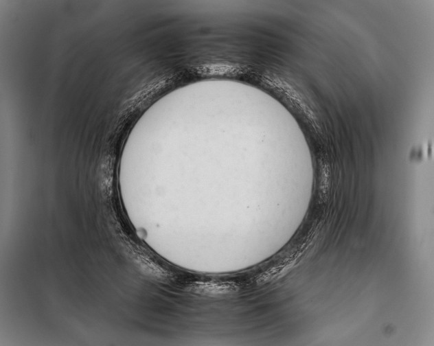 X0000097980545200804211040