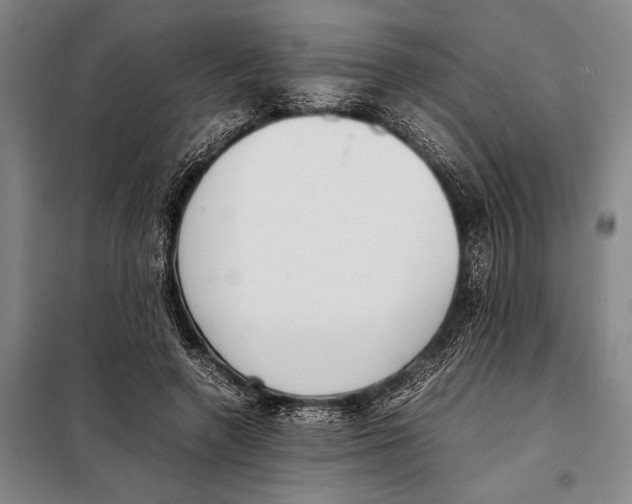 X0000097980546200804211040