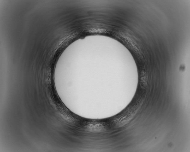 X0000097980547200804211040