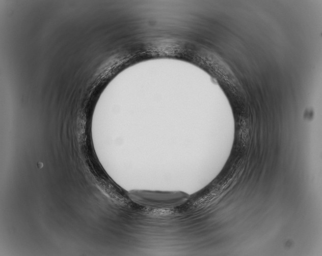 X0000097980548200804211040