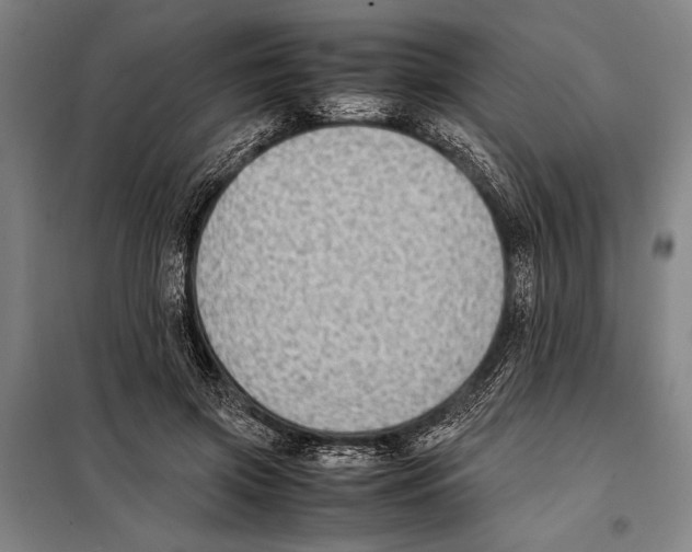 X0000097980549200804211040