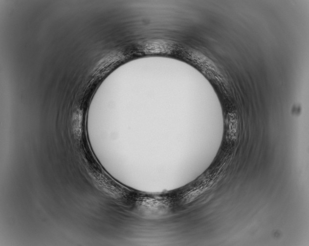 X0000097980550200804211040