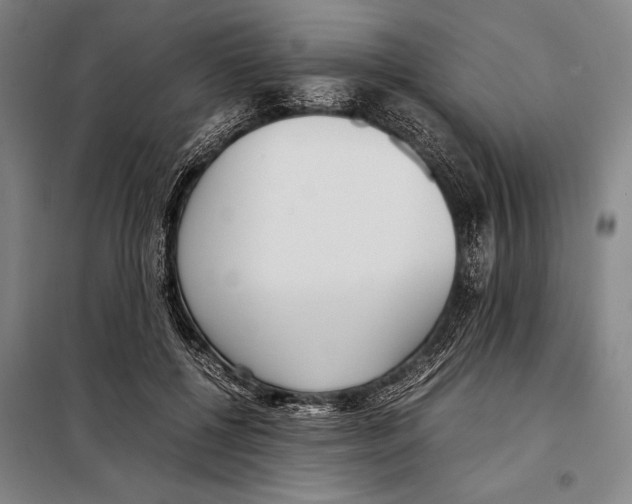 X0000097980552200804211040