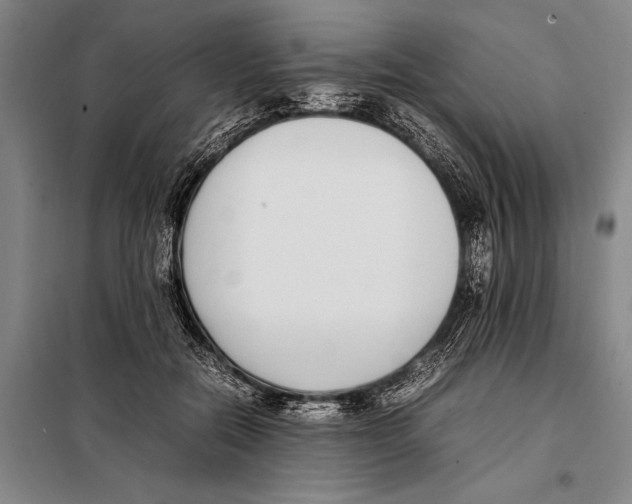 X0000097980554200804211040