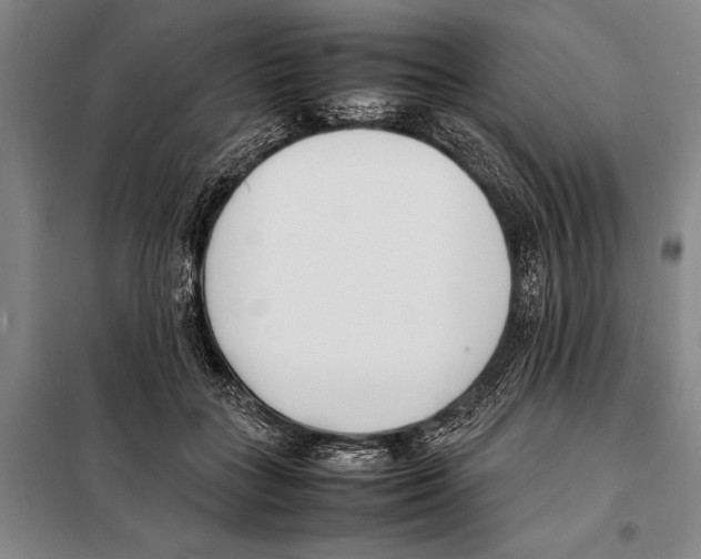 X0000097980555200804211040