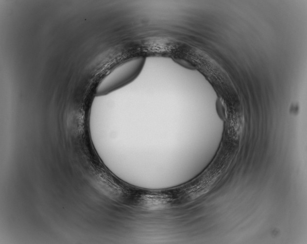 X0000097980556200804211040