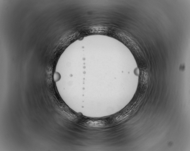 X0000097980557200804211040