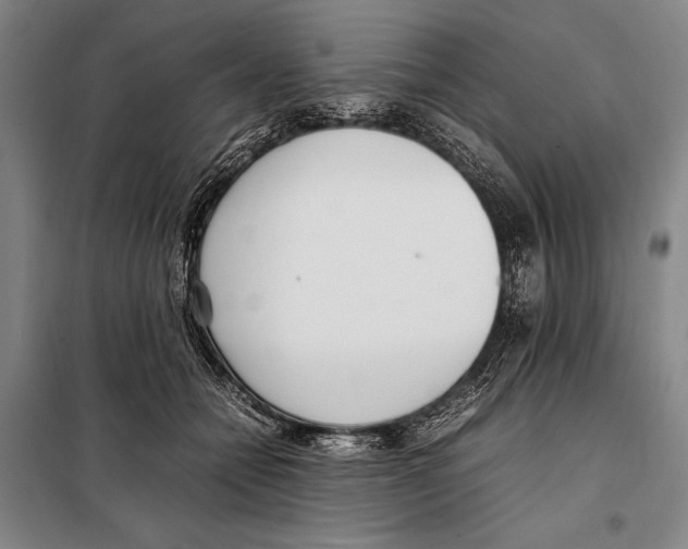 X0000097980558200804211040