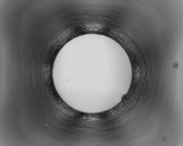 X0000097980559200804211040