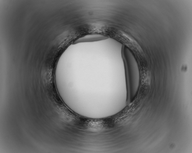 X0000097980560200804211040