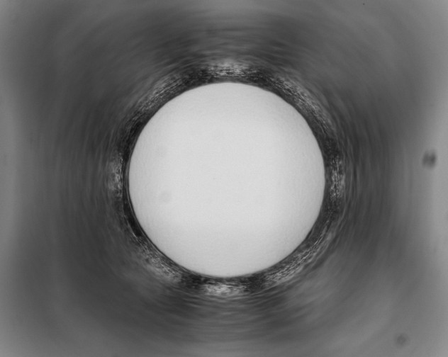 X0000097980561200804211040