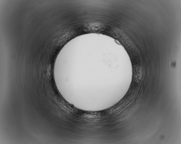 X0000097980563200804211040