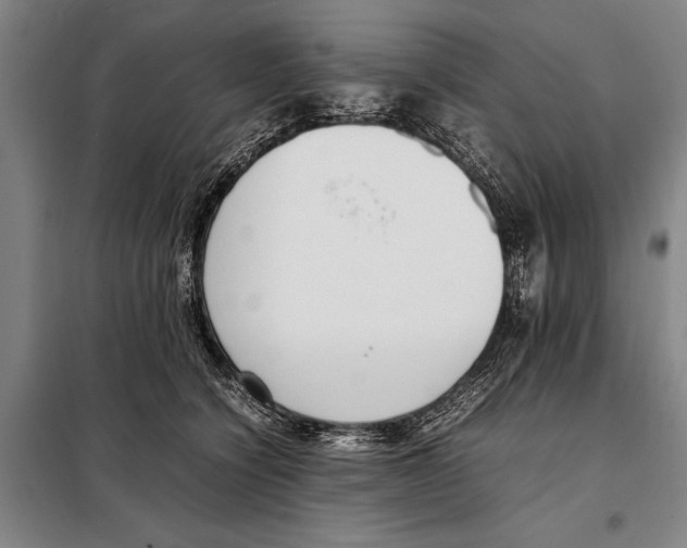 X0000097980564200804211040