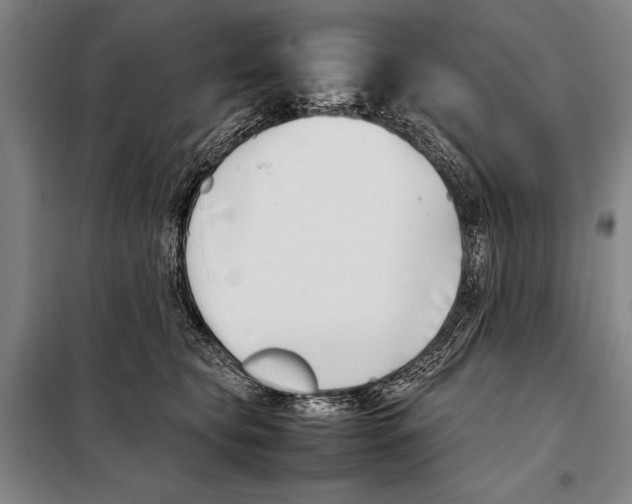 X0000097980565200804211040