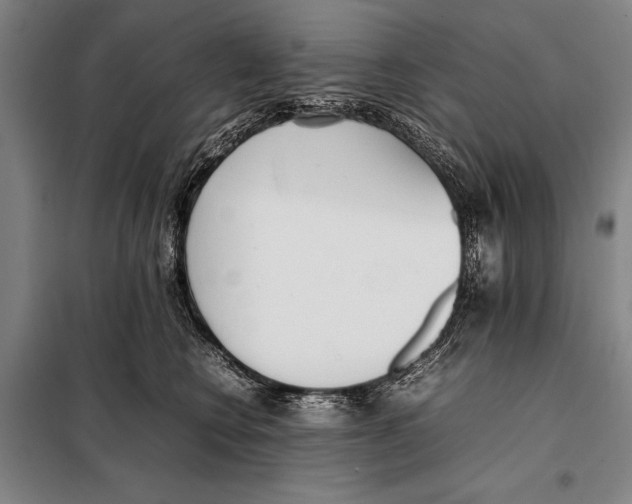 X0000097980566200804211041