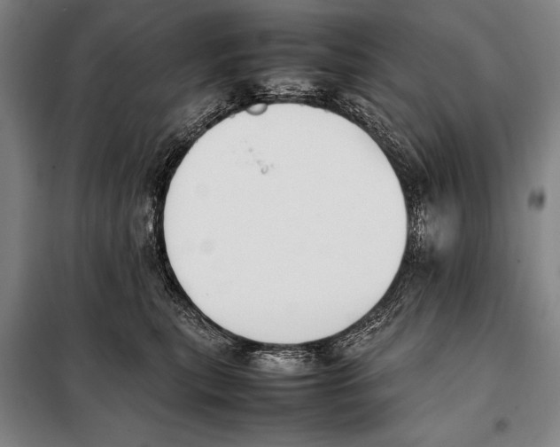 X0000097980567200804211041