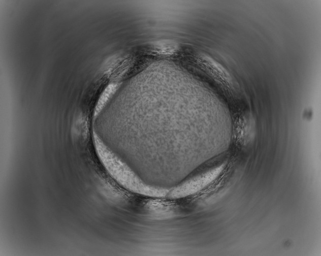 X0000097980568200804211041