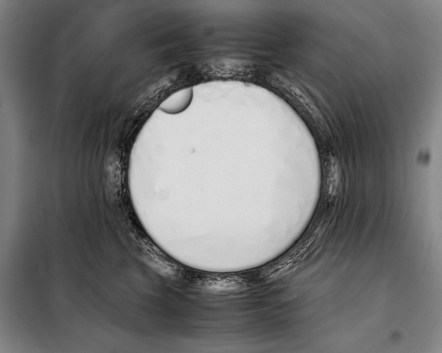 X0000097980569200804211041