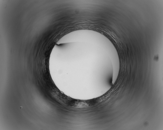 X0000097980572200804211041