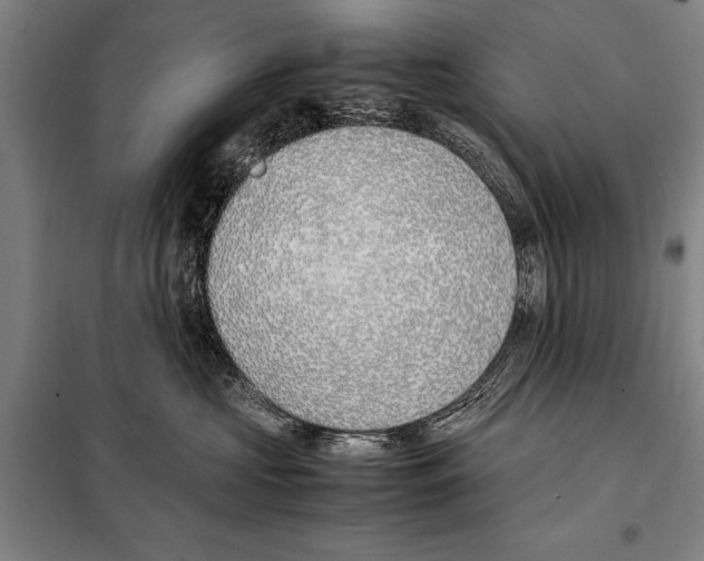 X0000097980573200804211041