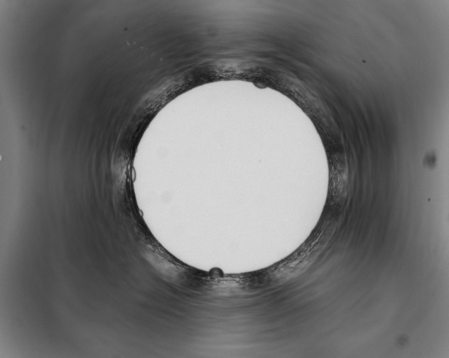 X0000097980574200804211041