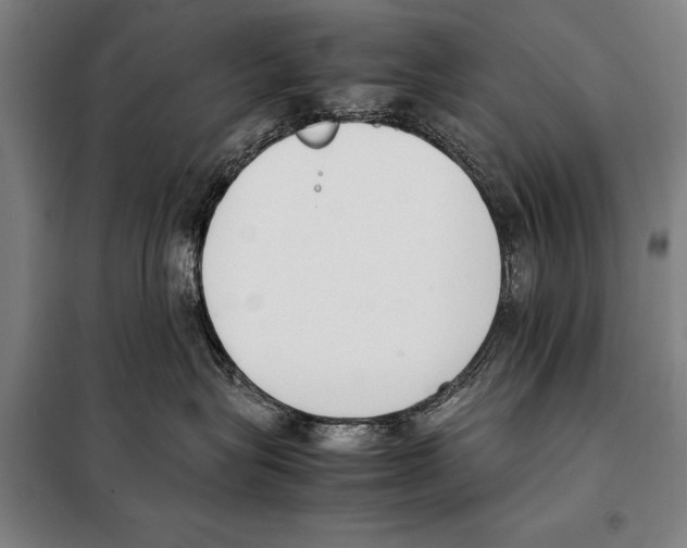 X0000097980575200804211041