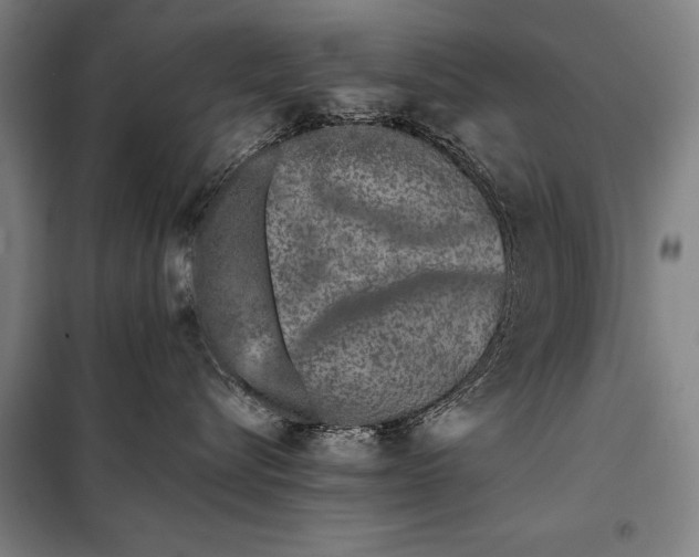 X0000097980576200804211041