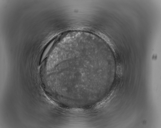 X0000097980577200804211040