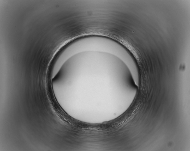 X0000097980580200804211040