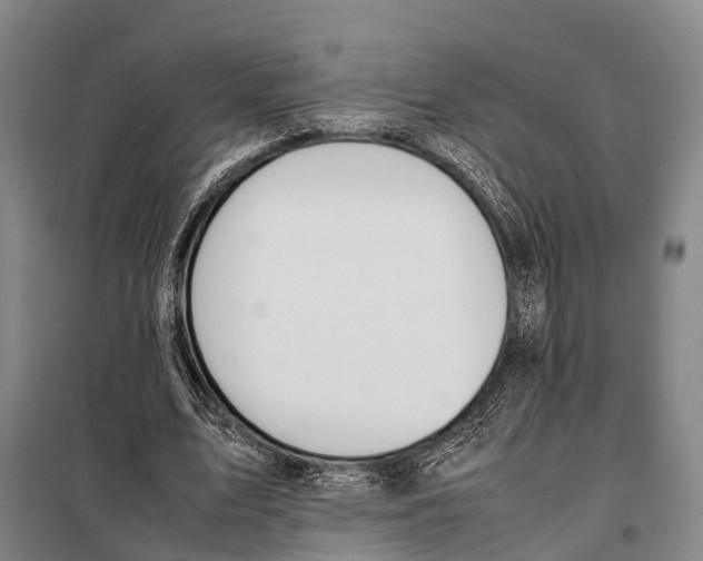 X0000097980583200804211040