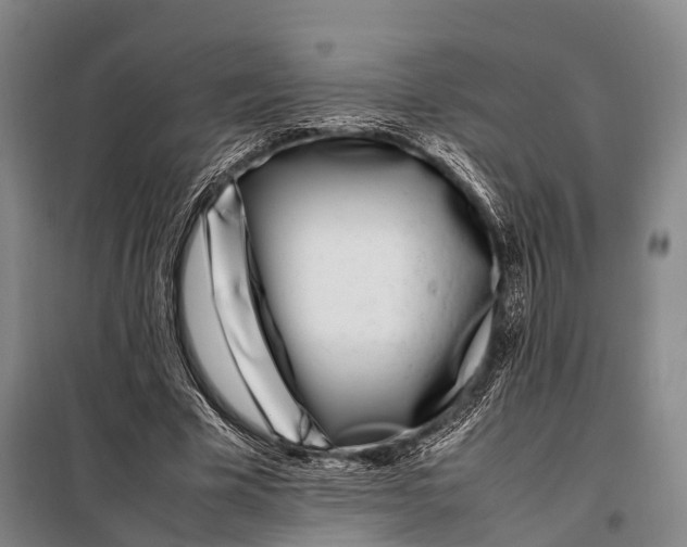 X0000097980585200804211040