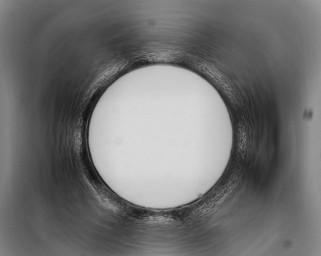 X0000097980586200804211040