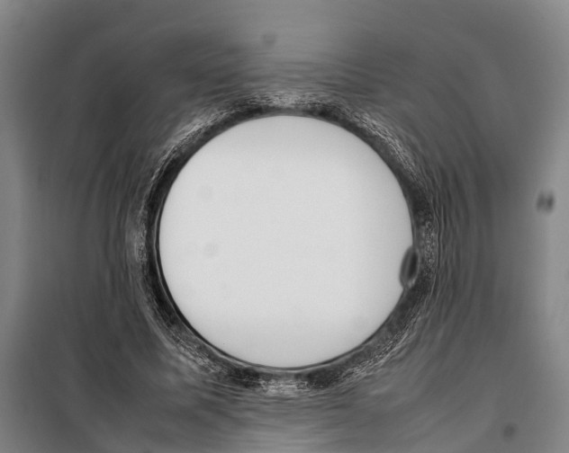 X0000097980587200804211040