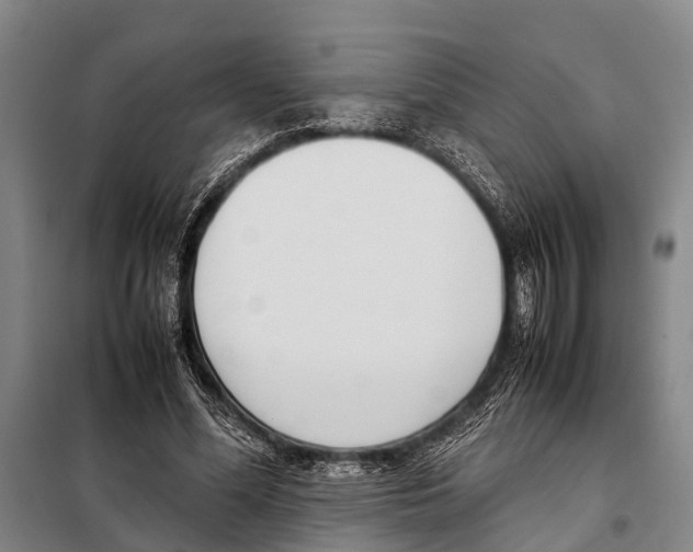 X0000097980588200804211040