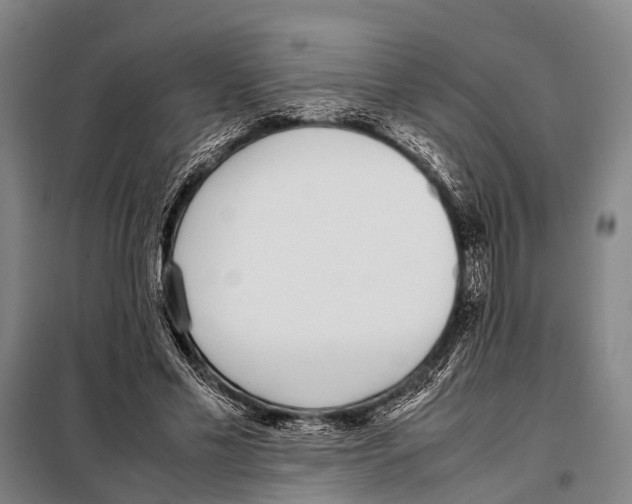 X0000097980589200804211040