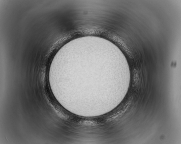 X0000097980590200804211040