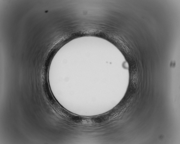 X0000097980591200804211040