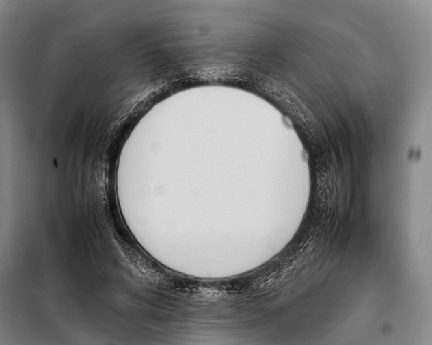 X0000097980592200804211040