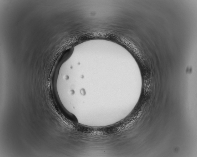 X0000097980593200804211040