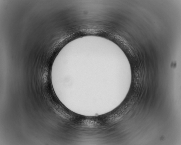 X0000097980596200804211040