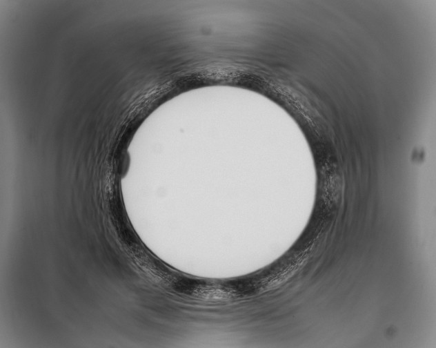 X0000097980597200804211040