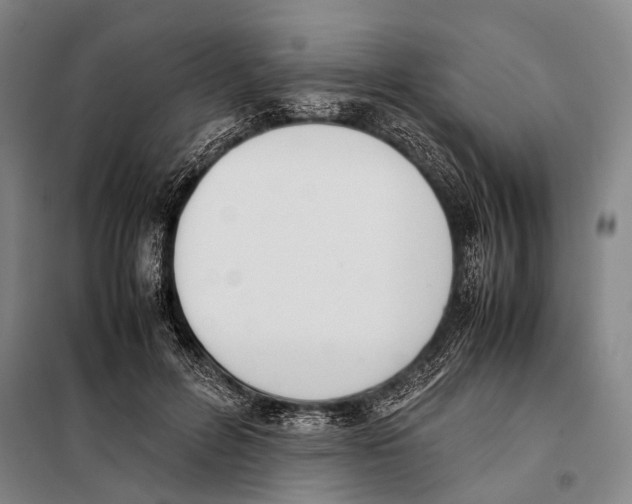 X0000097980600200804211039