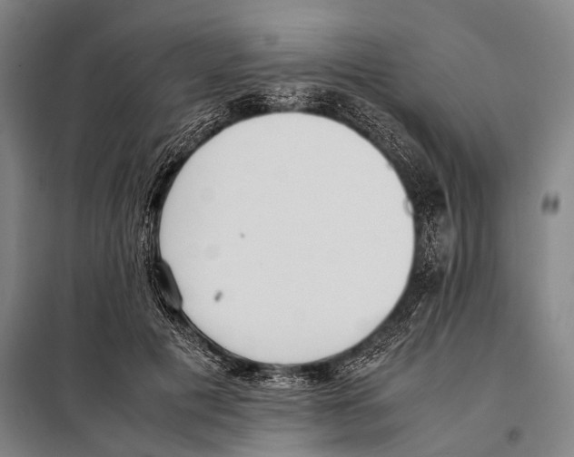 X0000097980601200804211039