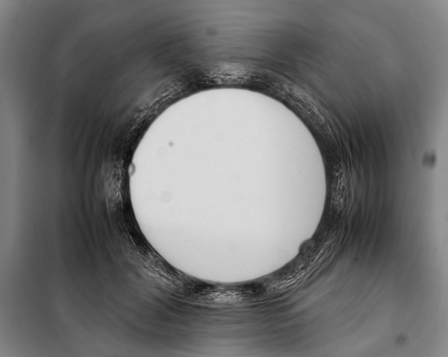 X0000097980604200804211039