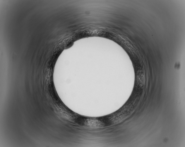 X0000097980605200804211039