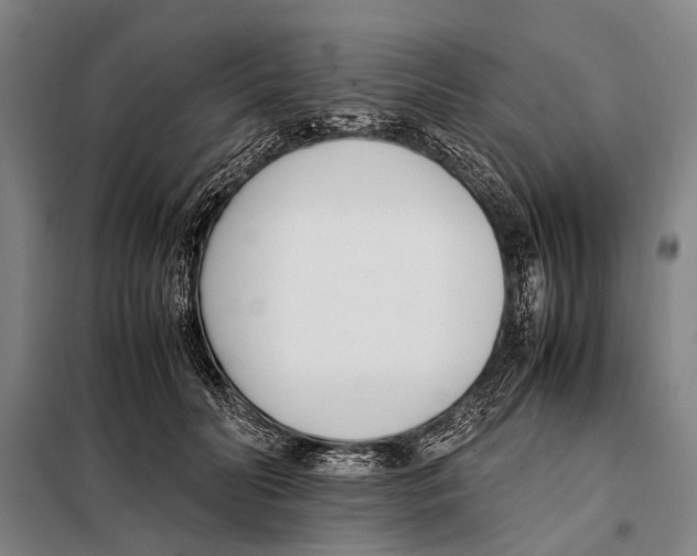 X0000097980606200804211039