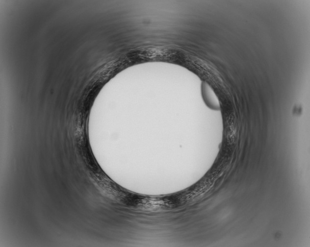 X0000097980607200804211039