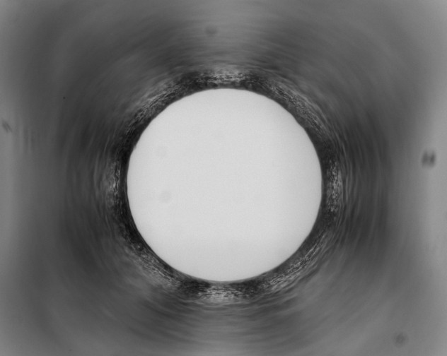 X0000097980608200804211039